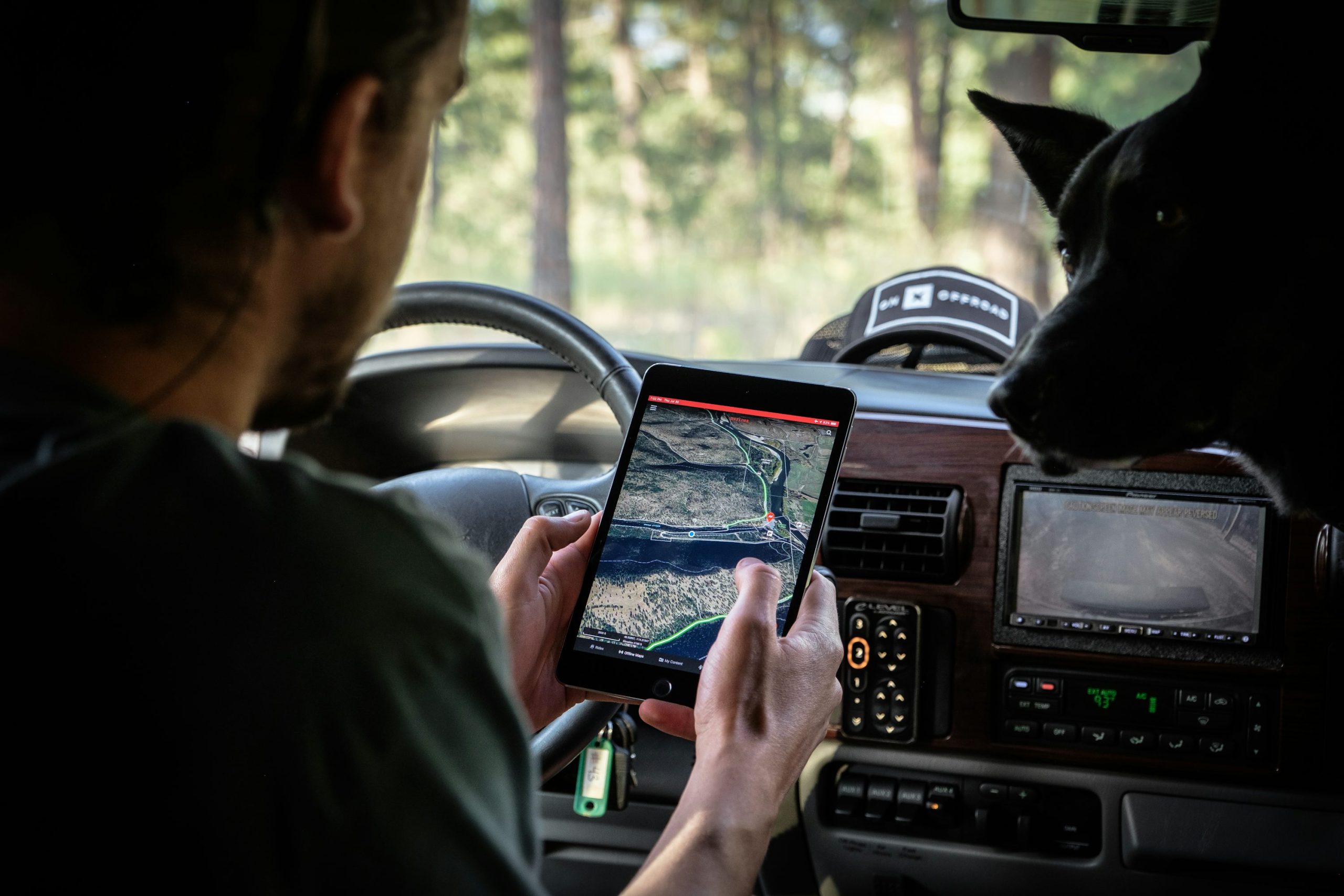 Traceur chien sans abonnement : suivez votre compagnon avec le GPS Spotter